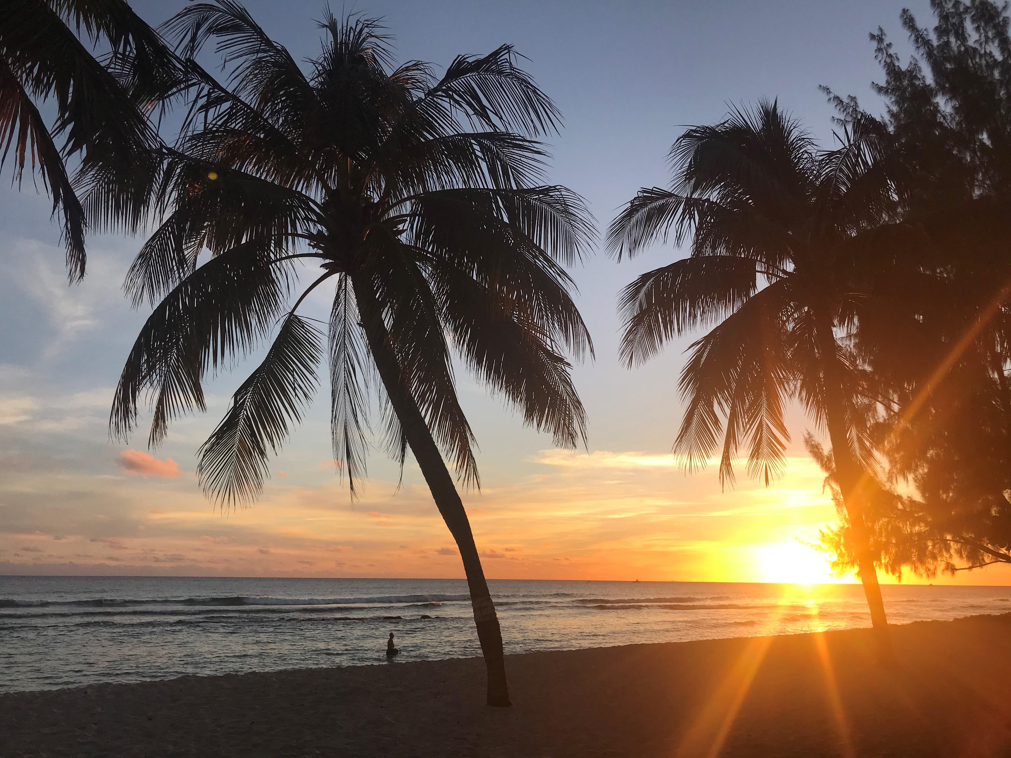 Coconut Court Beach Hotel Christ Church Ngoại thất bức ảnh