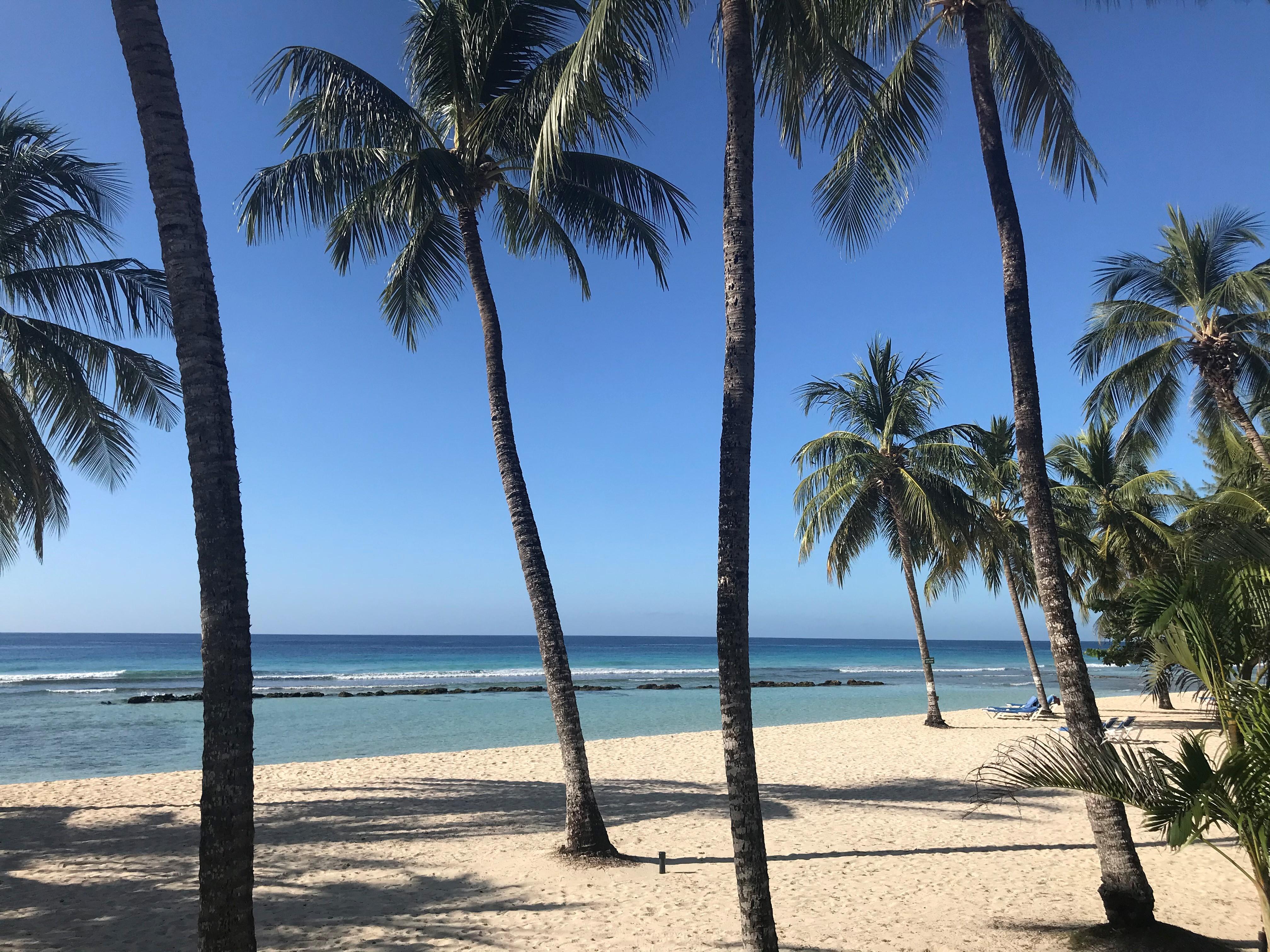Coconut Court Beach Hotel Christ Church Ngoại thất bức ảnh