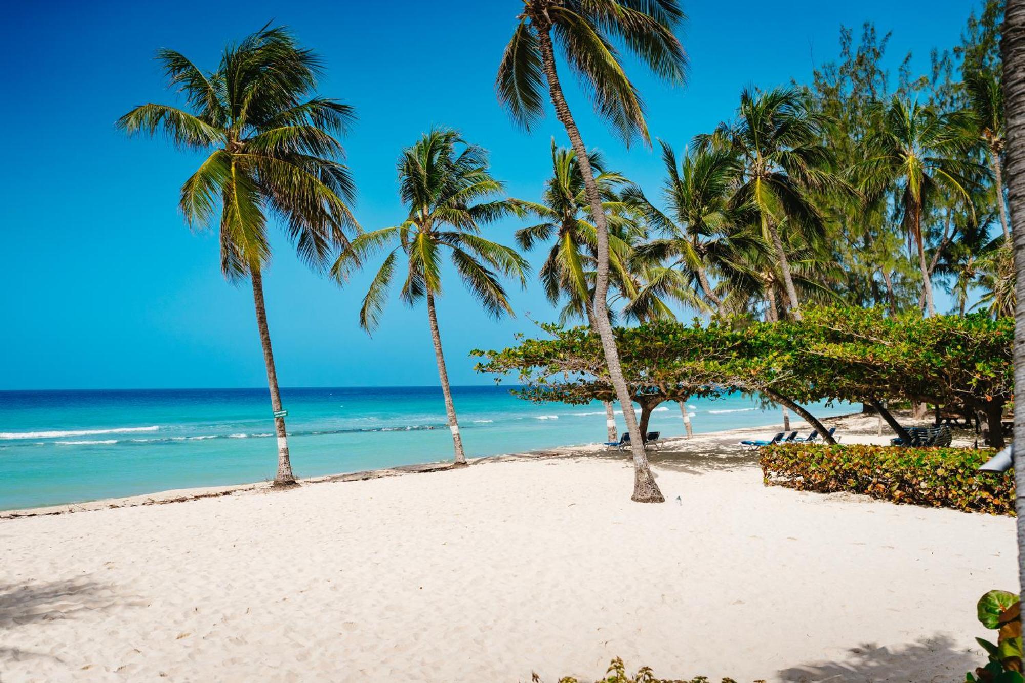 Coconut Court Beach Hotel Christ Church Ngoại thất bức ảnh